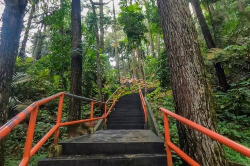 kebun raya gunung tidar